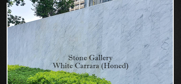 Project White Carrara (Honed)
